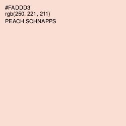 #FADDD3 - Peach Schnapps Color Image